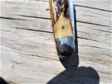 KABAR BEAUTIFUL STAG MODEL MP 92 DOG'S HEAD KABAR MUSKRAT