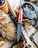 Richard Darby's Judgement Knives - Loveless Style Drop Point - Curly Mango Wood Handles - Damascus