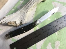 Tidioute 811217 ‘ S’ Bull Moose Green Jig Bone Pictorial Label with Pin Great Eastern 
