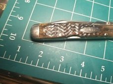 Case XX CHEETAH 6111 1/2 BONE LB SWINGUARD 1970's