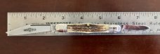 Great Eastern Cutlery Tidioute #331220 Conductor, Nice Sambar Stag Handle, New (GEC 33) 