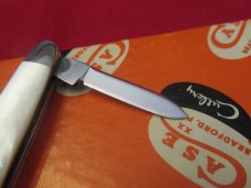Case XX 1980 Pearl Pen Pattern # 8201 SS