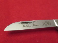 Bulldog 2007 Pearl  Prototype Congress 
