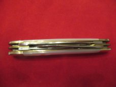 Bulldog 2007 Pearl  Prototype Congress 
