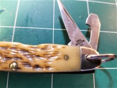 RARE CASE XX JR. SCOUT POCKET KNIFE #64090R SS AMBER BONE MULTI TOOL BOYS CAMP KNIFE
