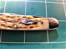 RARE CASE XX JR. SCOUT POCKET KNIFE #64090R SS AMBER BONE MULTI TOOL BOYS CAMP KNIFE
