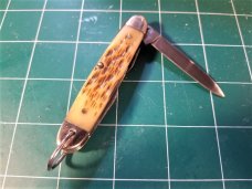 RARE CASE XX JR. SCOUT POCKET KNIFE #64090R SS AMBER BONE MULTI TOOL BOYS CAMP KNIFE
