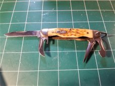 RARE CASE XX JR. SCOUT POCKET KNIFE #64090R SS AMBER BONE MULTI TOOL BOYS CAMP KNIFE