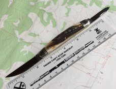 Easy Pocket Congress Sambar Stag GEC Great Eastern Northfield 620220 Gnarly NEW 