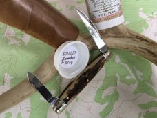 Easy Pocket Congress Sambar Stag GEC Great Eastern Northfield 620220 Gnarly NEW 