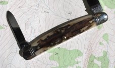 Easy Pocket Congress Sambar Stag GEC Great Eastern Northfield 620220 Gnarly NEW 