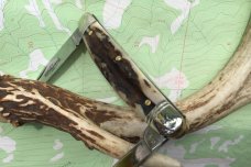 Easy Pocket Congress Sambar Stag GEC Great Eastern Northfield 620220 Gnarly NEW 