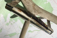 Easy Pocket Congress Sambar Stag GEC Great Eastern Northfield 620220 Gnarly NEW 