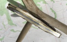 Easy Pocket Congress Sambar Stag GEC Great Eastern Northfield 620220 Gnarly NEW 
