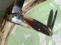 Easy Pocket Congress Sambar Stag GEC Great Eastern Northfield 620220 Gnarly NEW 