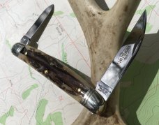 Easy Pocket Congress Sambar Stag GEC Great Eastern Northfield 620220 Gnarly NEW 