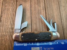 Bulldog Scout Knife Brown Reptile Skin Jigged Bone 