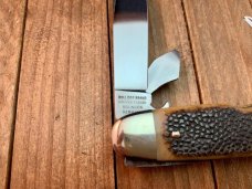 Bulldog Scout Knife Brown Reptile Skin Jigged Bone 