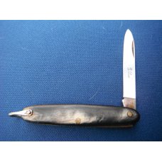 Elegant folding pocket knife with Beautiful Horn scales