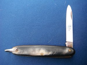 Elegant folding pocket knife with Beautiful Horn scales.