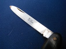 Elegant folding  pocket knife with Beautiful Horn scales.   