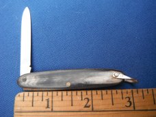 Elegant folding  pocket knife with Beautiful Horn scales.   