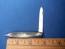 Elegant folding  pocket knife with Beautiful Horn scales.   