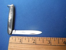 Elegant folding  pocket knife with Beautiful Horn scales.   