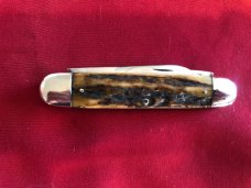 Vintage Case Bradford cattle knife