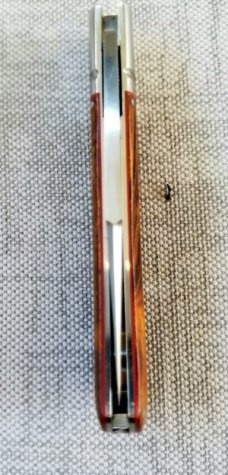 K'roo Custom Lanny clip,4" clsd Ironwood scales and stainless fluted bolsters ..filework..Rwl34 