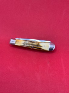 Case XX 5254 SSP Blue Scroll 1977 Stag Trapper 