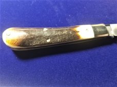 GREAT EASTERN GEC TIDIOUTE OILY CREEK BONE RAM FOOT KNIFE RARE 1 OF 615 MIT #933119