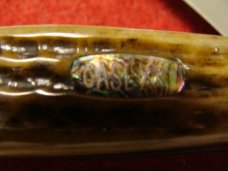 Case XX Trapper # 6254 SS "Pearl Premiers" with Bone Handles 1999 