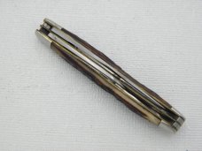 Queen Cutlery #14 Peanut Jack with Rogers Bone Handles:  2 3/8” closed, early 1950s