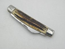 Queen Cutlery Co. #31 Half Congress in Winterbottom Bone: 4” closed; circa 1950, Big Q tang stamp
