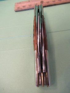 Schatt & Morgan 2006 NKCA Brown Bone Congress 
