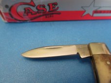Case XX Appaloosa Bone Pen Pattern # A 62033  