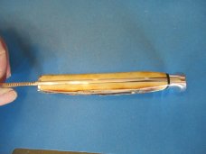 Case XX Grey Etch Stag Handle Fixed Blade  Model 5Finn SSP