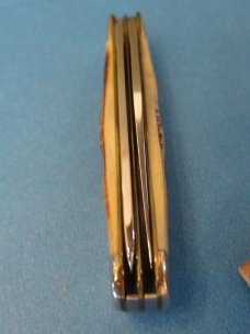 Case XX 2006 Bone Stag Tiny Trapper Pattern # 6.52154 SS CKKC 