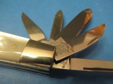 Fight'N Rooster1984 Frank Buster 10 Blade Pearl Congress 