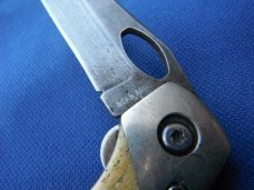 Damascus Bear & Son Midsize Folding Knife. Damascus Steel Blade Stag Bone Handle. Made in USA!!!