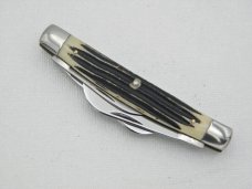 Queen Cutlery Co. #33 Congress in Winterbottom Bone: 3 1/2” closed; 1958 – 1960