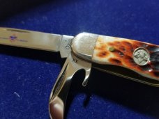 Case XX Junior Scout Camping Pocket Knife Beautiful Bone New Jr Scout BSA