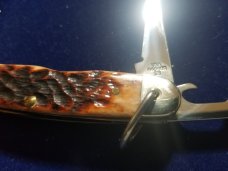 Case XX Junior Scout Camping Pocket Knife Beautiful Bone New Jr Scout BSA