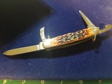 Case XX Junior Scout Camping Pocket Knife Beautiful Bone New Jr Scout BSA