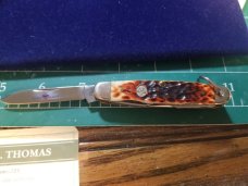 Case XX Junior Scout Camping Pocket Knife Beautiful Bone New Jr Scout BSA