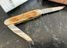 Great Eastern Cutlery #538208 Muskrat, Burnt Stag Handle, Stainless Steel Blades, New (GEC 53) 