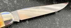 Great Eastern Cutlery #538208 Muskrat, Burnt Stag Handle, Stainless Steel Blades, New (GEC 53) 