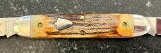 Great Eastern Cutlery #538208 Muskrat, Burnt Stag Handle, Stainless Steel Blades, New (GEC 53) 