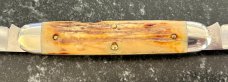 Great Eastern Cutlery #538208 Muskrat, Burnt Stag Handle, Stainless Steel Blades, New (GEC 53) 